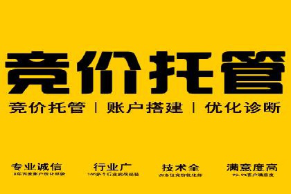 案例分析：SEM关键词优化技巧